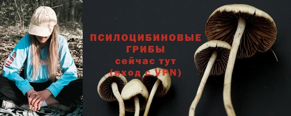 первитин Нея