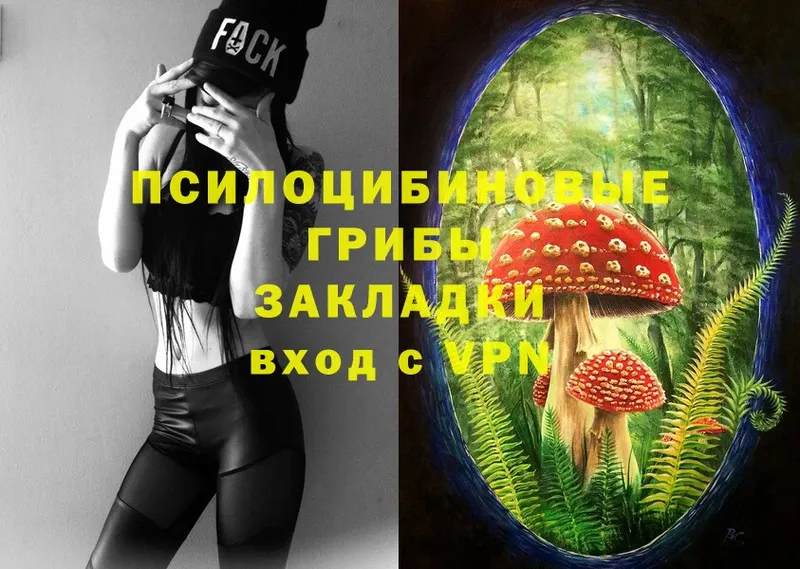 Псилоцибиновые грибы MAGIC MUSHROOMS  где можно купить   Полтавская 